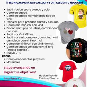 Despega tu negocio de playeras - Certificación Master Crafter Bussines